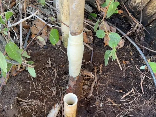 Underground water service line or exterior pipe repair for Water Line Repair & Replacement